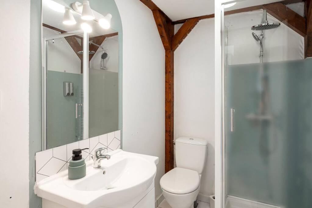 Charmant Studio Arbore Et Climatise Carcassonne Exterior foto